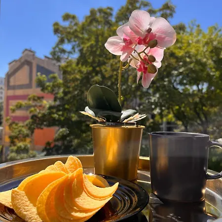 1 In Center דירה