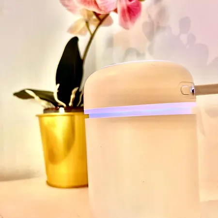 1 In Center * ורשה