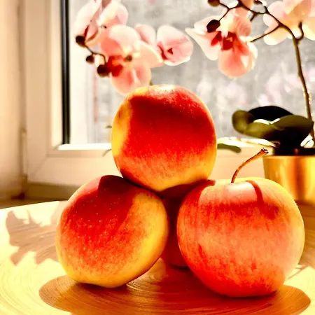 דירה 1 In Center